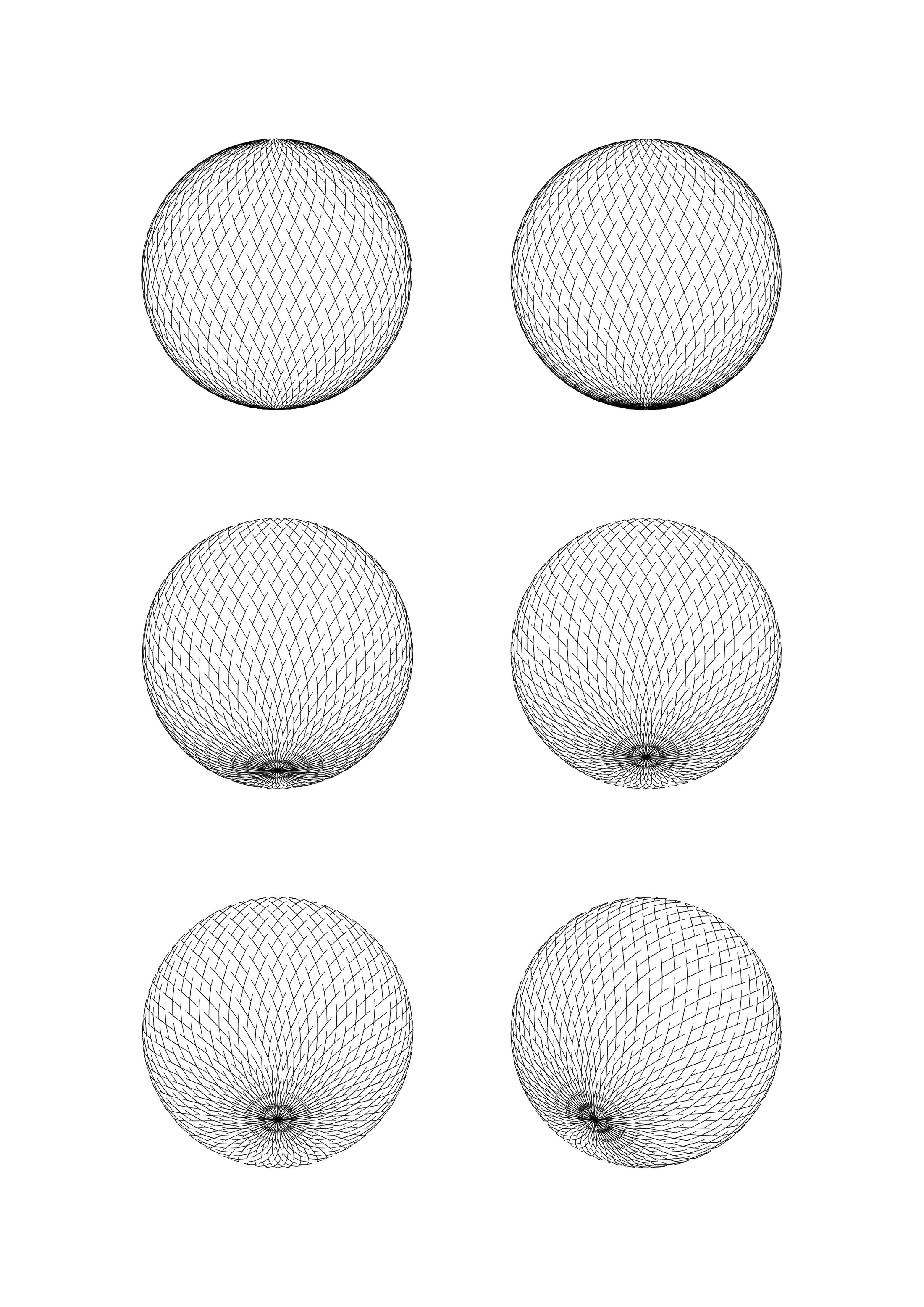 MOTOHIRA 6